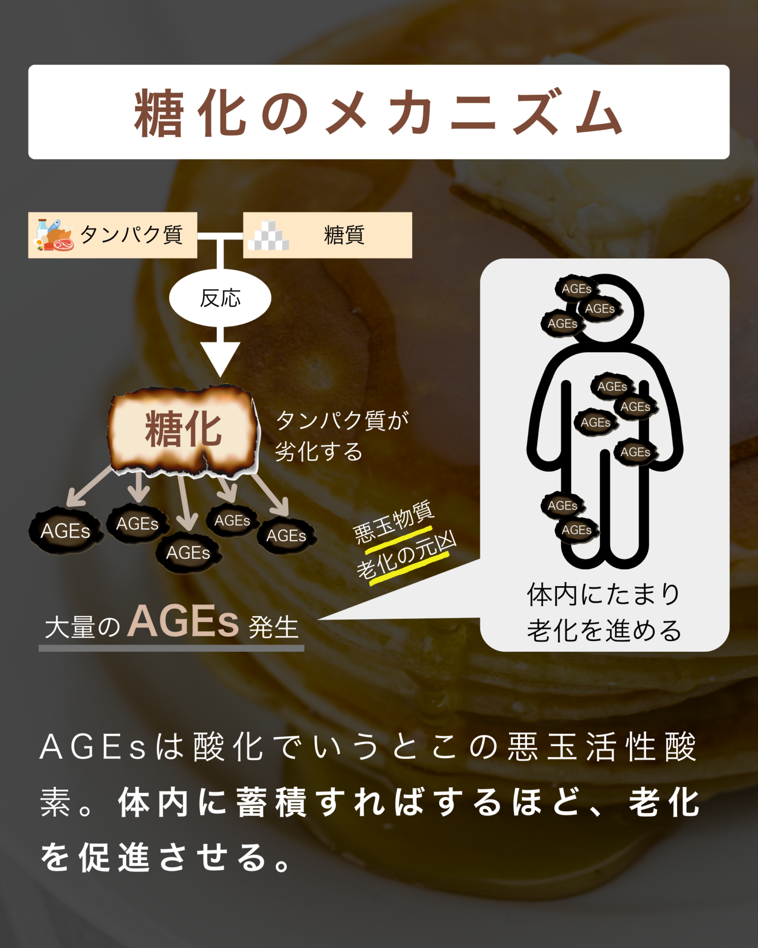 lm_report01_sample04